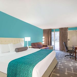 Standard Room One King Bed Non-Smoking